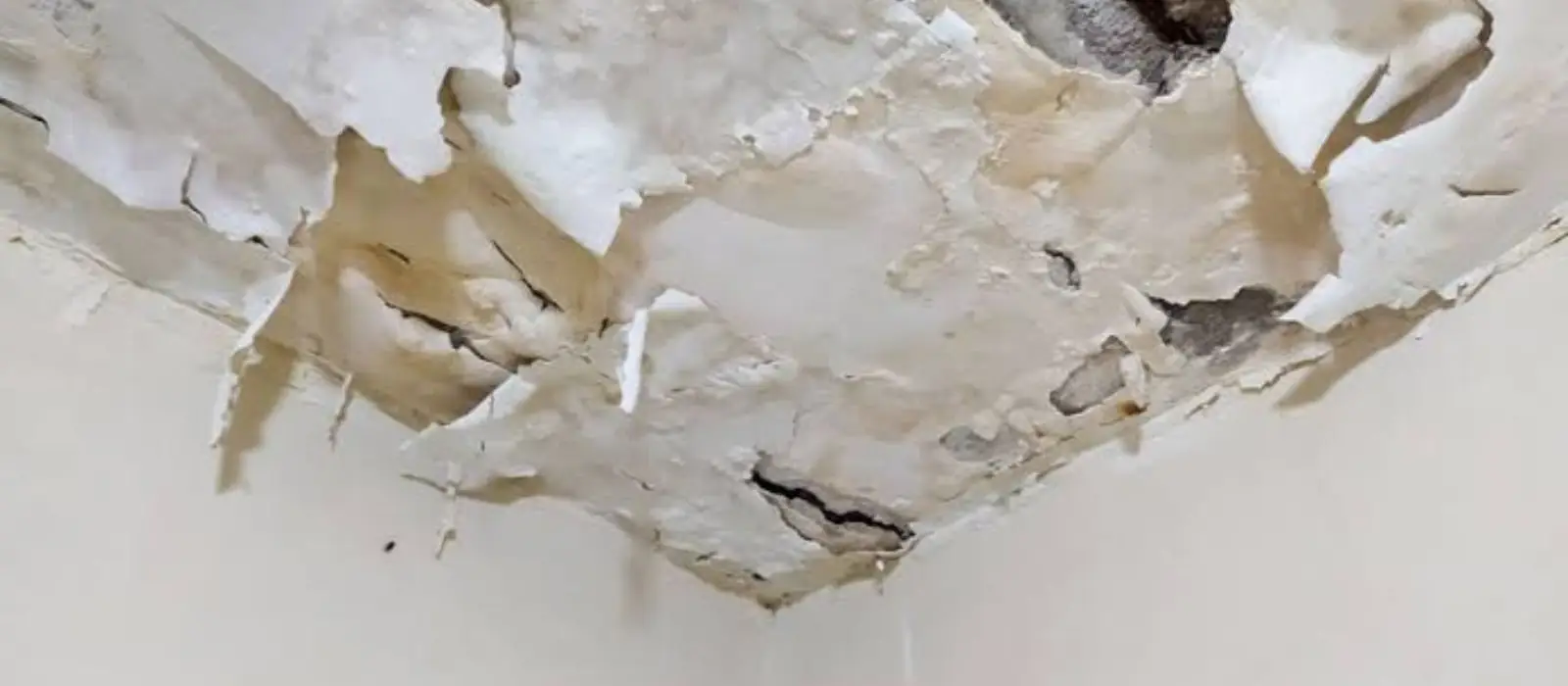 Ceiling paint peeling and bubbling from water damage