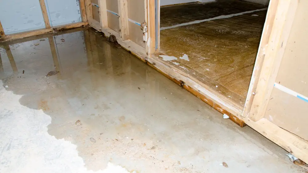 Flood-damaged wall opened to the framing with water on the floor