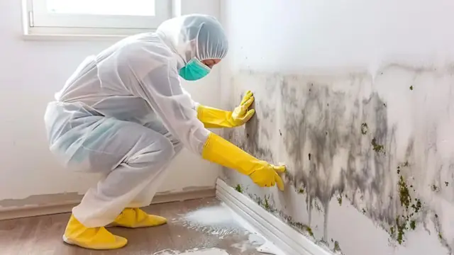 Worker in a protective suit and gloves wiping a mold-stained wall