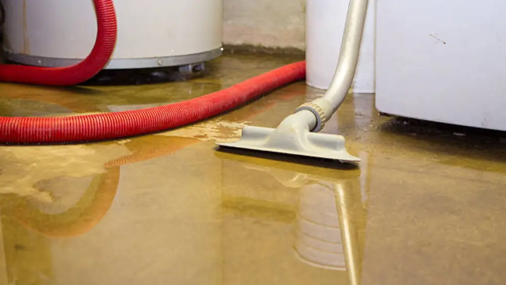 Wet-dry vacuum extracting standing water from a floor