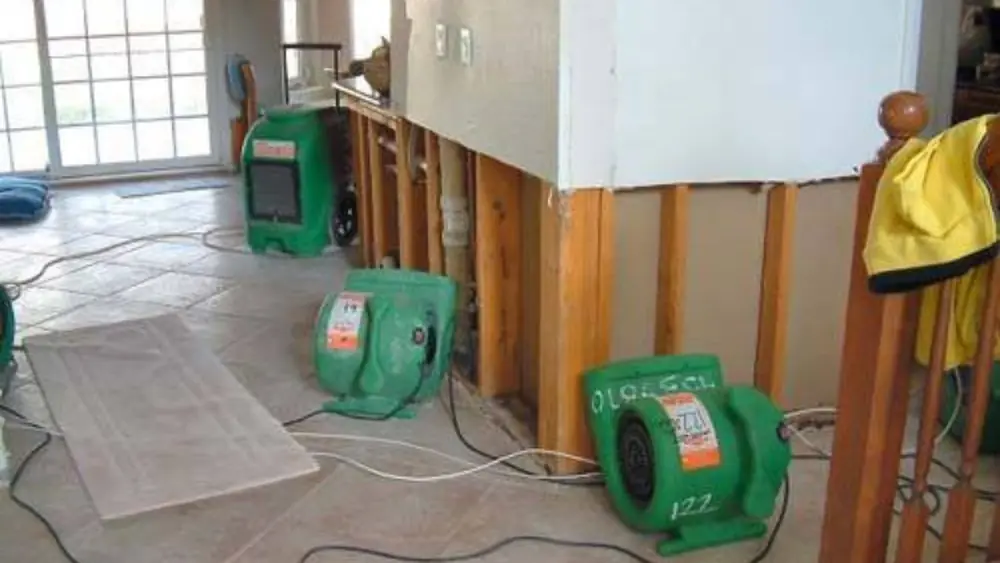 Green air movers drying a room where wall sections were cut open